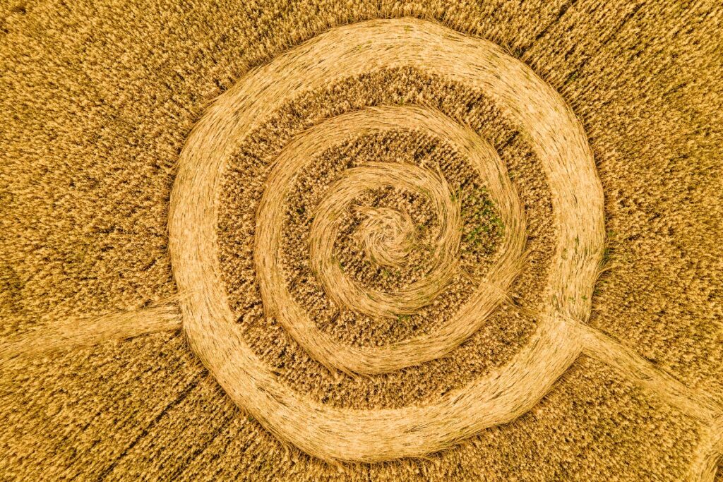 origine des cercles de culture