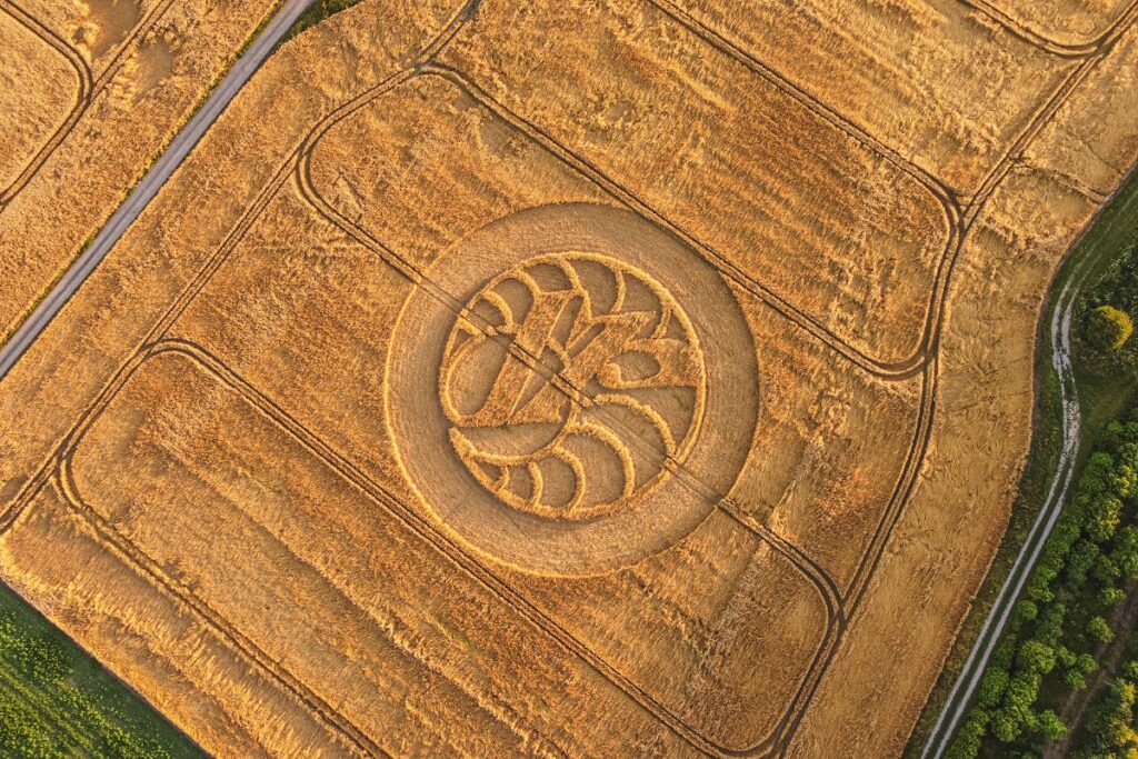 origine des crop circle